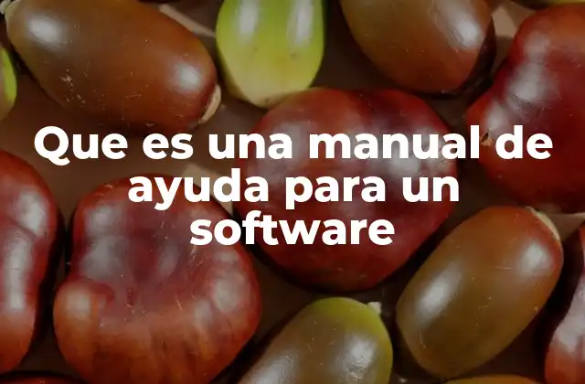 Que es una Manual de Ayuda para un Software