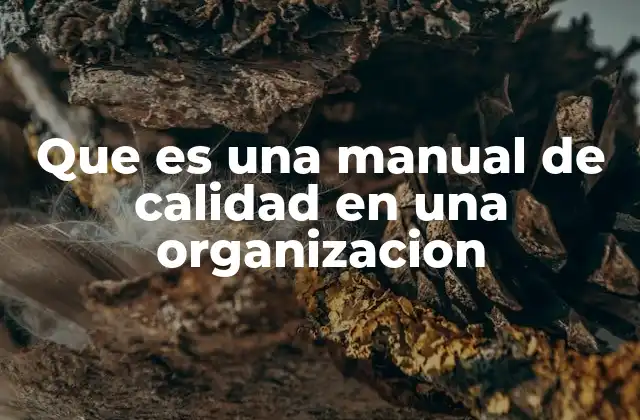 Que es una Manual de Calidad en una Organizacion