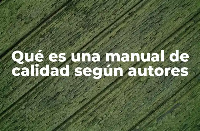 Qué es una Manual de Calidad según Autores