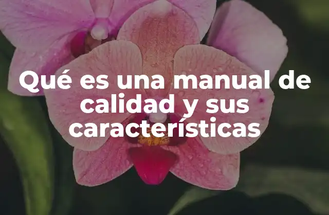Qué es una Manual de Calidad y Sus Características