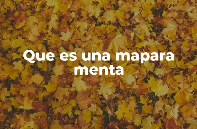 Que es una Mapara Menta