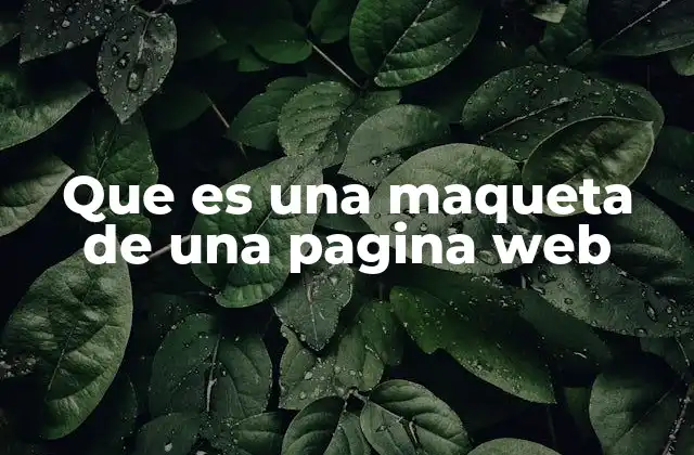 Que es una Maqueta de una Pagina Web