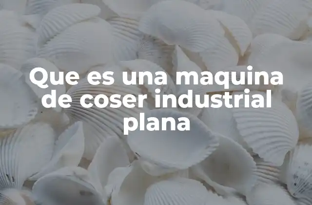 Que es una Maquina de Coser Industrial Plana
