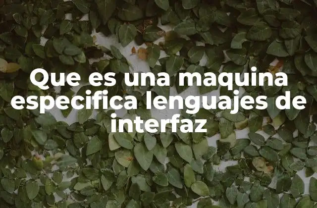 Que es una Maquina Especifica Lenguajes de Interfaz