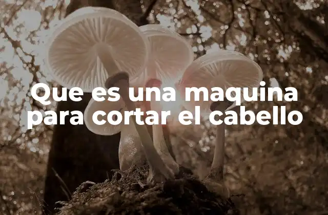 La evolución de las herramientas de corte capilar