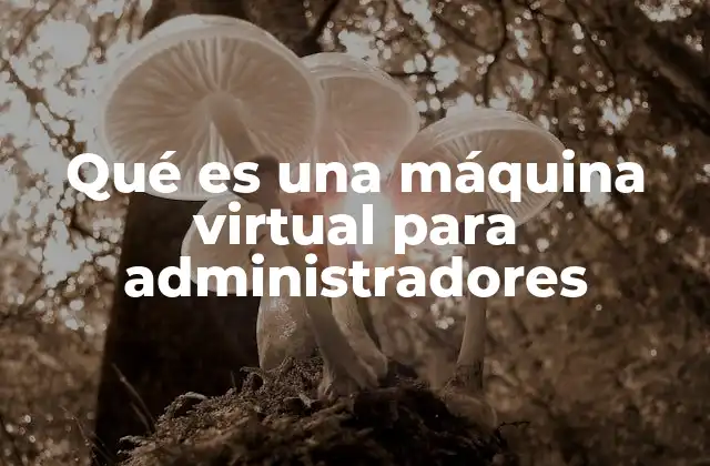 Qué es una Máquina Virtual para Administradores 2 La importancia de la virtualización en la gestión de sistemas