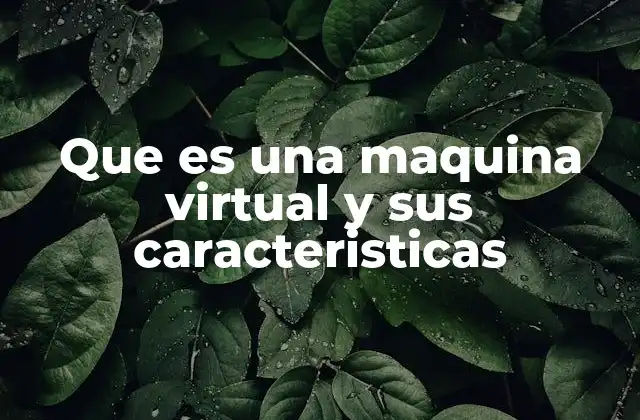 Que es una Maquina Virtual y Sus Caracteristicas 2 La evolución de la virtualización en la informática moderna