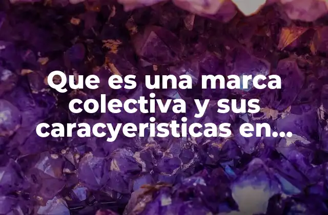 Que es una Marca Colectiva y Sus Caracyeristicas en Mexico