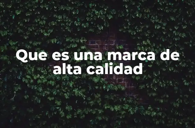 Que es una Marca de Alta Calidad 2 Cómo diferenciar una marca de alta calidad de otras