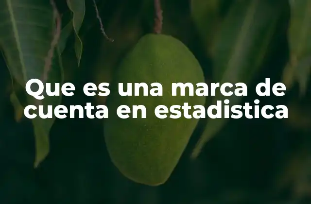 Que es una Marca de Cuenta en Estadistica