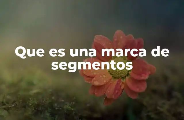 Que es una Marca de Segmentos