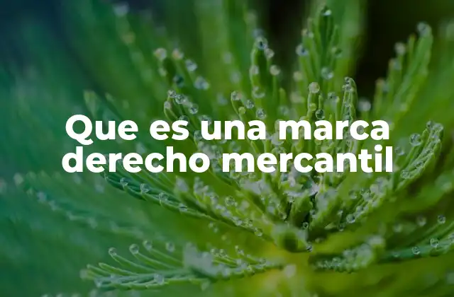 La importancia de las marcas en el ámbito mercantil
