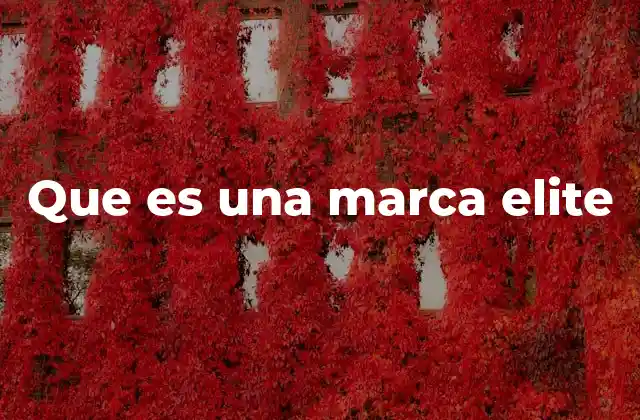 Que es una Marca Elite