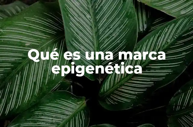 Qué es una Marca Epigenética