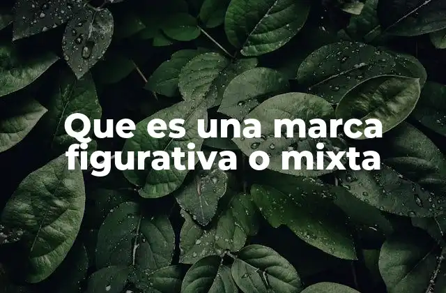 Que es una Marca Figurativa o Mixta