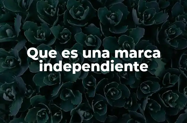 Que es una Marca Independiente