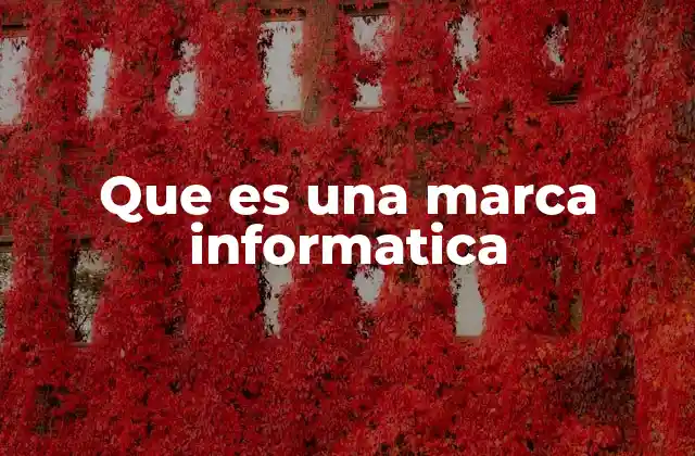 Que es una Marca Informatica