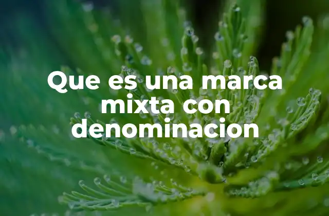 Que es una Marca Mixta con Denominacion