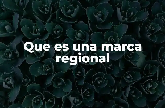 Que es una Marca Regional