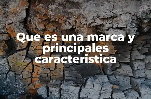 Que es una Marca y Principales Caracteristica