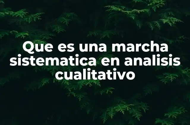Que es una Marcha Sistematica en Analisis Cualitativo