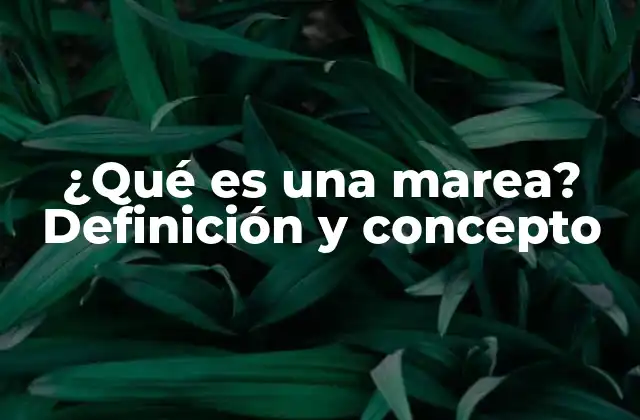 ¿qué es una Marea? Definición y Concepto