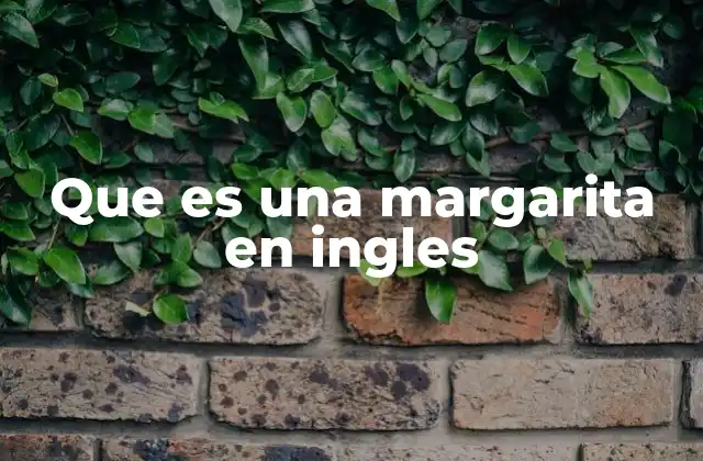 Que es una Margarita en Ingles