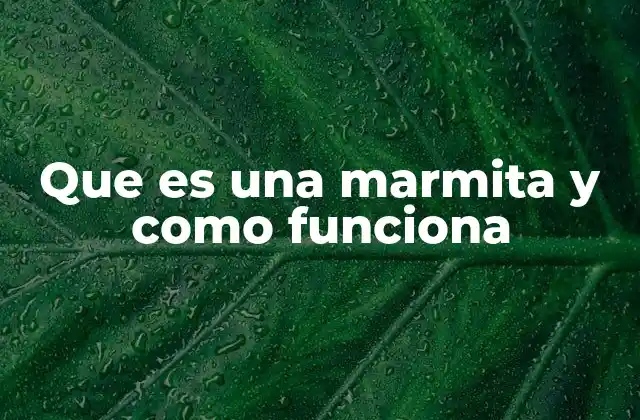 Que es una Marmita y como Funciona