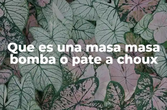 Que es una Masa Masa Bomba o Pate a Choux