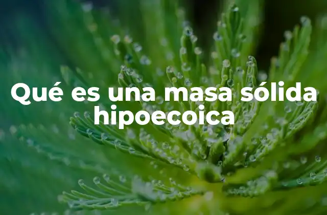 Qué es una Masa Sólida Hipoecoica