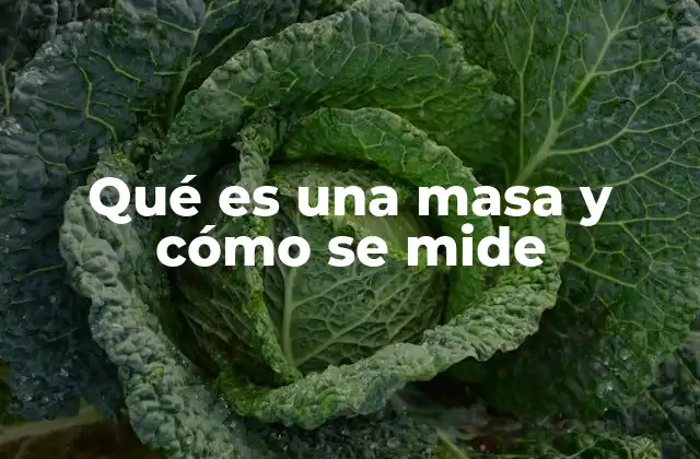 Qué es una Masa y Cómo Se Mide 2 La importancia de la masa en la ciencia moderna