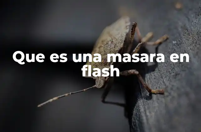 Que es una Masara en Flash