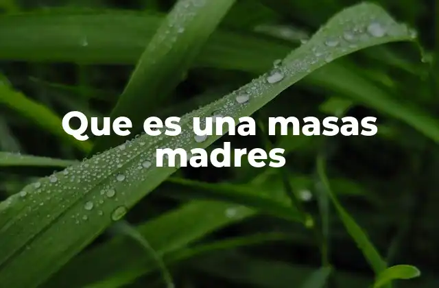 Que es una Masas Madres