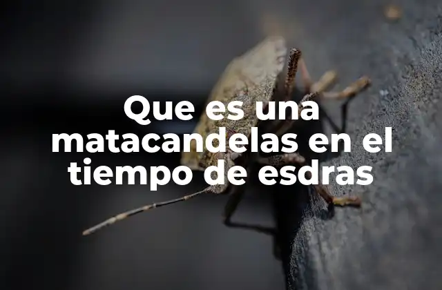 Que es una Matacandelas en el Tiempo de Esdras