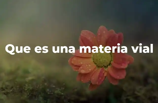 Que es una Materia Vial