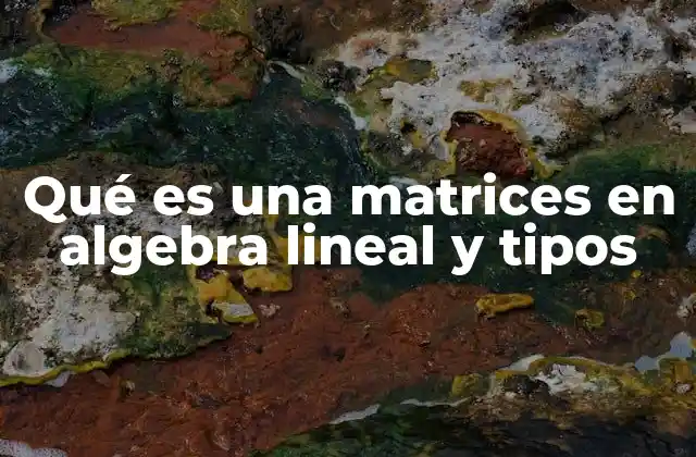 Qué es una Matrices en Algebra Lineal y Tipos