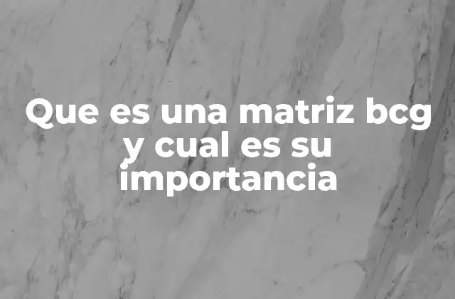 Que es una Matriz Bcg y Cual es Su Importancia 2 La importancia de organizar los negocios por categorías