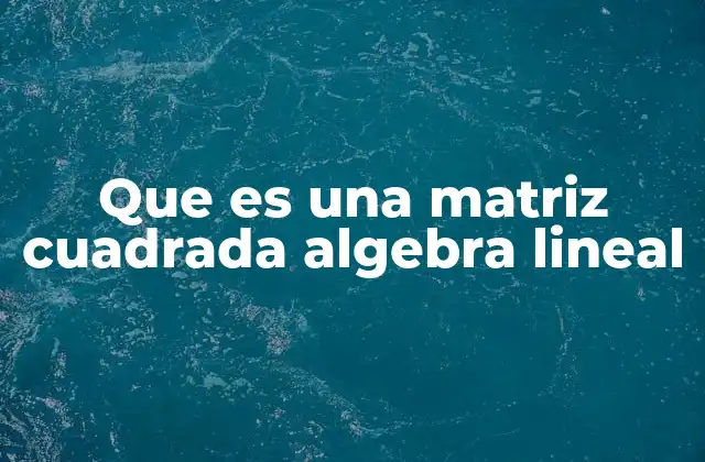 Que es una Matriz Cuadrada Algebra Lineal