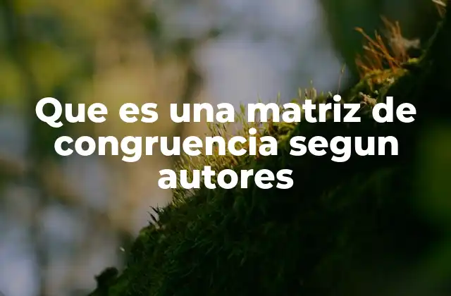 Que es una Matriz de Congruencia Segun Autores