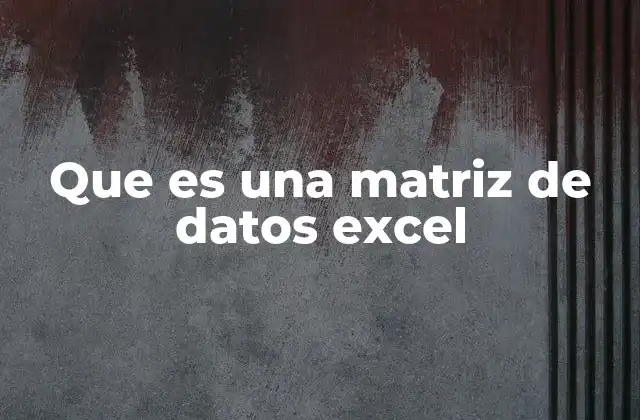 Que es una Matriz de Datos Excel