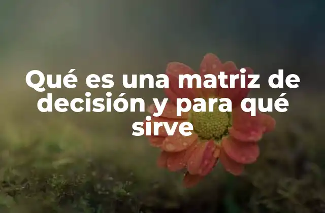 Qué es una Matriz de Decisión y para Qué Sirve