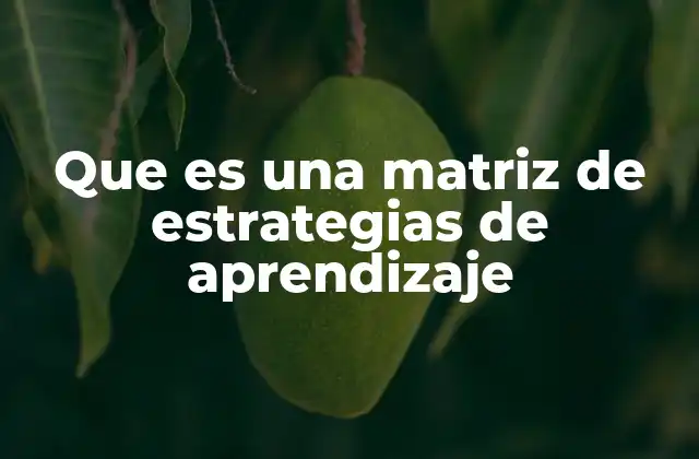 Que es una Matriz de Estrategias de Aprendizaje