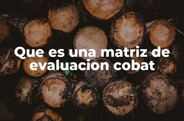 Que es una Matriz de Evaluacion Cobat