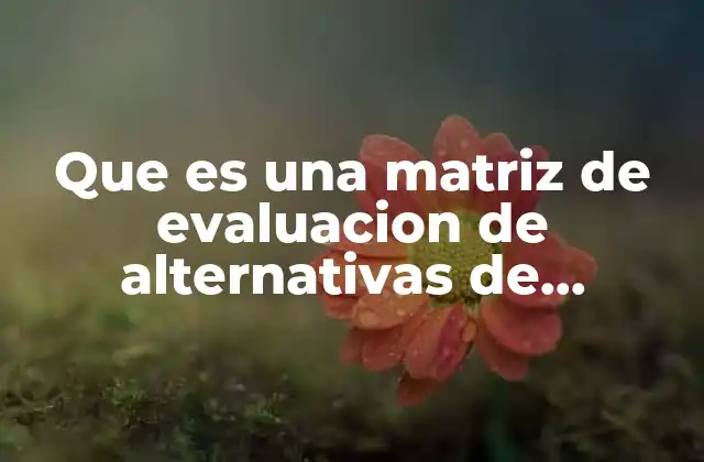 Que es una Matriz de Evaluacion de Alternativas de Desicion