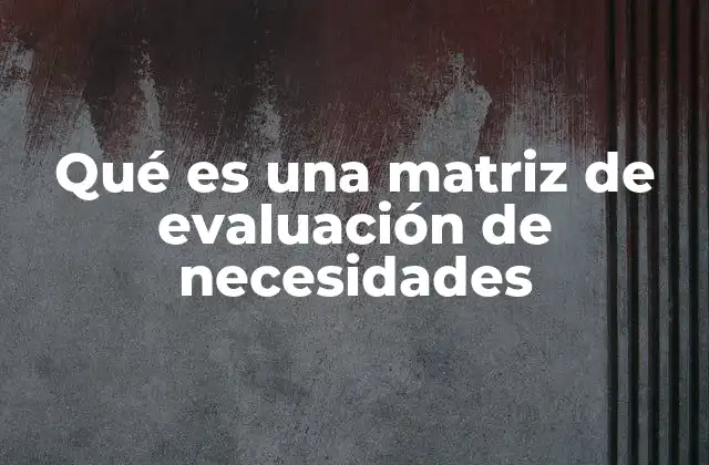 Qué es una Matriz de Evaluación de Necesidades