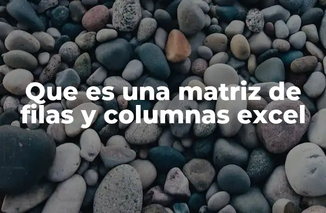 La estructura básica de una matriz en Excel