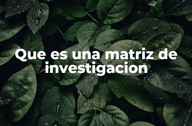 Que es una Matriz de Investigacion