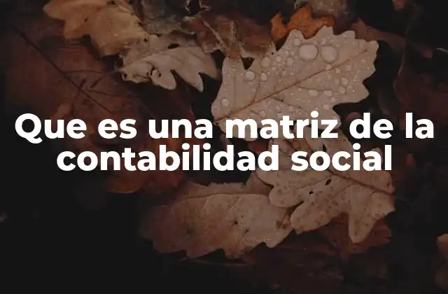 Que es una Matriz de la Contabilidad Social