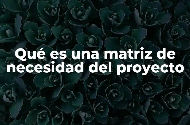 Qué es una Matriz de Necesidad Del Proyecto