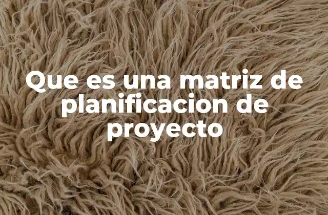 Que es una Matriz de Planificacion de Proyecto